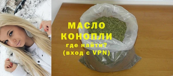 гидра Каменка