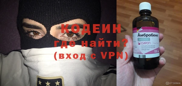 гидра Каменка