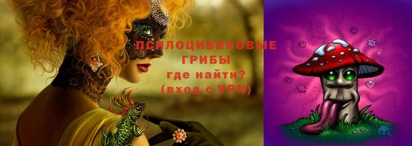 меф Каменногорск