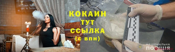 гидра Каменка