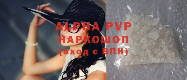 гидра Каменка
