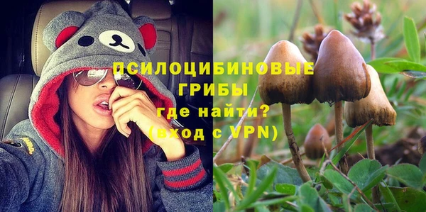 гидра Каменка