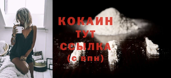 гидра Каменка