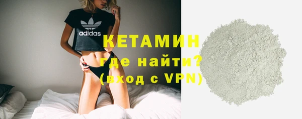 гидра Каменка