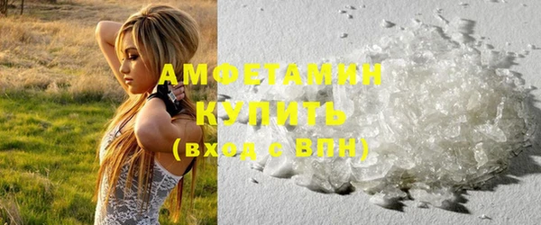 гидра Каменка
