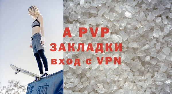 гидра Каменка