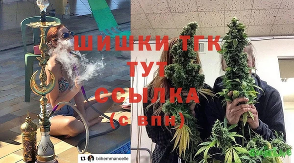 гидра Каменка