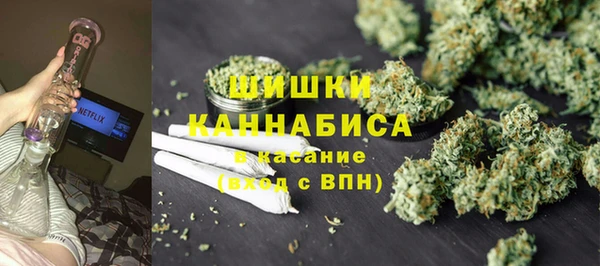 гидра Каменка