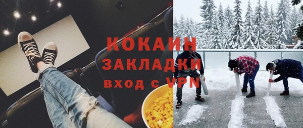 гидра Каменка