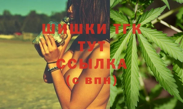 гидра Каменка