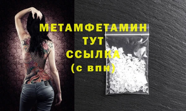 гидра Каменка