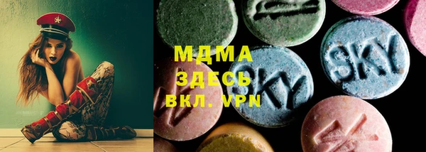 гидра Каменка