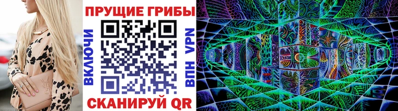 Купить закладки  Камбарка  Псилоцибиновые грибы MAGIC MUSHROOMS 
